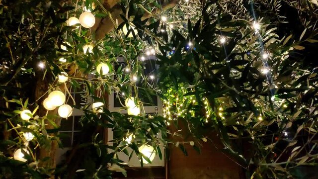 Moving shot of a tree on a house entrance decorated with yellow bright light up balls.