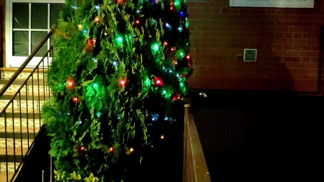 Entrance of a house with a tall tree next to the entrance steps decorated with Christmas lights shining intermittently with different colours.