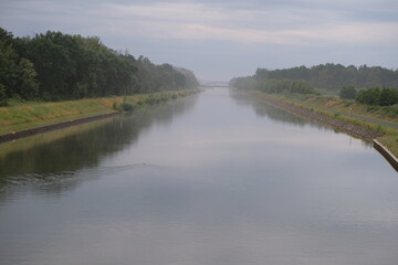 Biber im Mittellandkanal