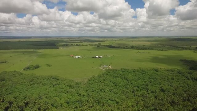Drone shot of a green savanna and a group of trees with beautiful clouds in the sky