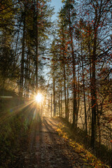 Obraz premium Hiking trail into sunset