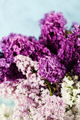Obraz premium Bouquet of lilac flowers in three colors