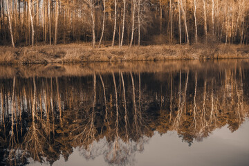 Landscape. Reflection of trees in the water. Landscape. Deep waters of the blue lake surrounded by winter forest. Trees above the water