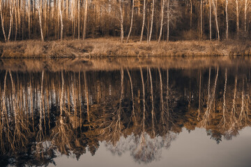 Landscape. Reflection of trees in the water. Landscape. Deep waters of the blue lake surrounded by winter forest. Trees above the water