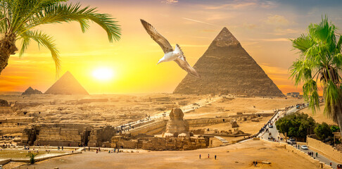 Palms and Giza