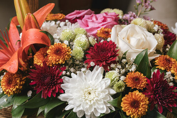 Photo red white orange pink flowers in the center