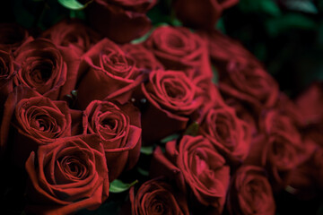 Photo of a red rose in the center with petals