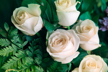 Photo of white rose with green petals