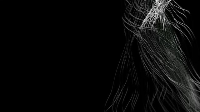3d moving curves background