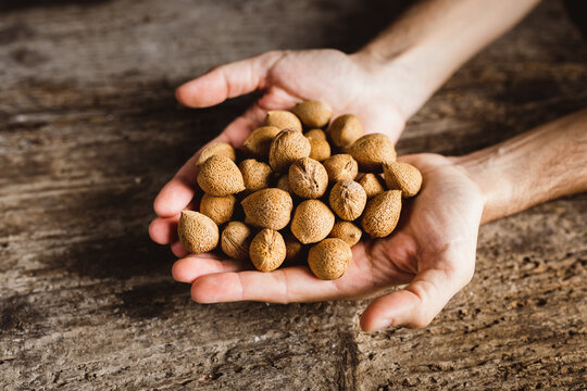 Mani tengono mandorle con guscio 