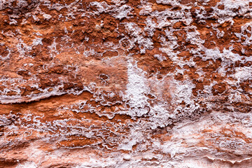Minerals form on the red rock cliff face at lower Emerald Falls in Zion National Park, Utah