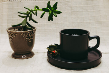 Herbal tea in a black cup. Cactus flower and herbal tea on white background. Healthy herbal tea.