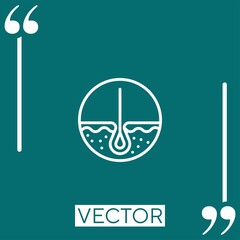 epidermis vector icon Linear icon. Editable stroke line