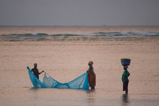 Group of African woman from Mozambique, fishing fish with domestic made net, Indian Ocean, during low tide 