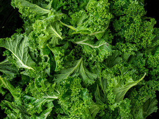 Selective focus close up of kale