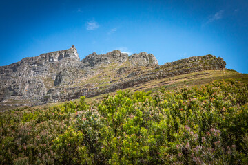 table mountain, cape town, south africa