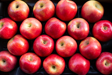 Conjunto de manzanas rojas en caja sobre fondo horizontal negro