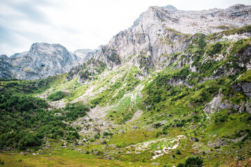 Caucasus, Mount Fisht, Russia