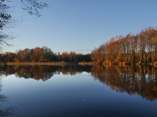 Obraz premium blue sky yellow trees reflected in river beautiful autumn landscape