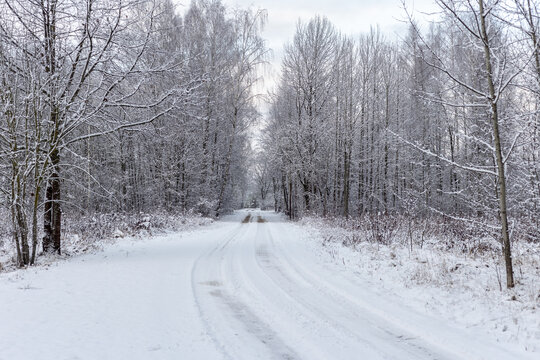 Forest road in snowy winter beautiful lanscape