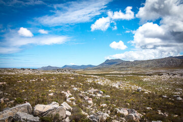 landscape near cape of good hope, south africa