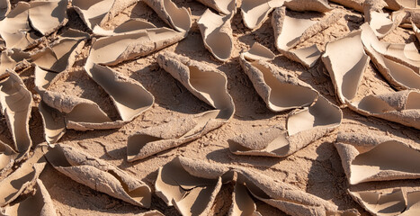 Cracked clay ground in a dry season. Cracked soil texture, global warming concept. Cracked dirt in a desert.