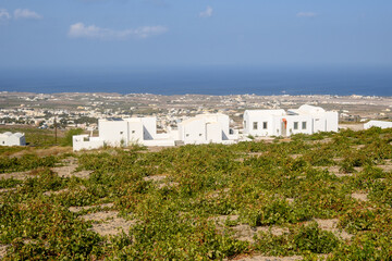 Obraz premium Typical Greek holiday villas on Santorini Island in Greece