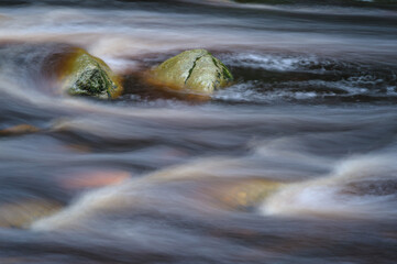 Sumava National Park, mountain river Vydra, Czechia