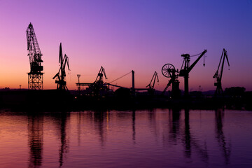 cranes at sunset