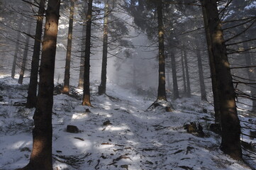 Bialskie Mountains, Poland © Strumyk