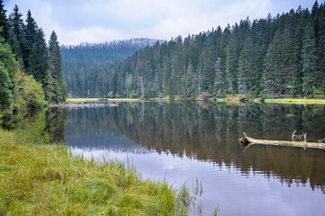 Fototapeta premium Sumava National Park, Czechia