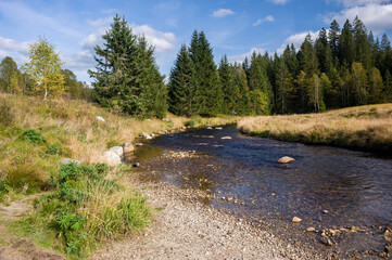 Fototapeta na wymiar Roklansky potok, Sumava National Park, Czechia