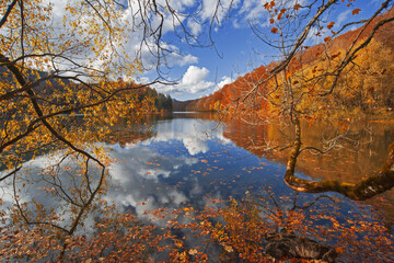 Autumn forest with reflection on Biogradsko lake in Montenegro