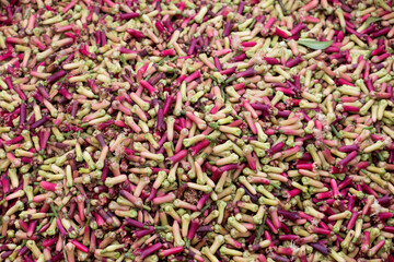 freshly harvested cloves are drying on the street
