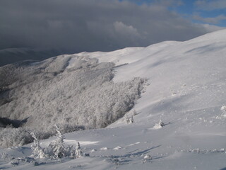 Obraz premium Winter mountain landscape with trees all covered with snow under blue sky with dark clouds, Bieszczady Mountains, Poland (January 2016)