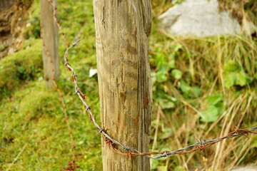 Macro photography of wooden post with protection wire for cows