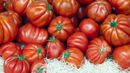 tomatoes in the street market, Provence. 