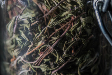 dried leaves, thyme, bottled