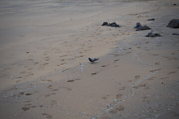 A shot of a piece of plastic on a sandy beach - plastic pollution
