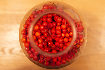 Manufacturer of tincture of mountain ash. Rowan berries in a glass jar. Vodka poured red berries.
