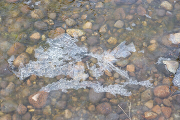 Ice Formations on frozen Upper Truckee River in the Tahoe Basin during Winter