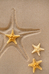 Fototapeta na wymiar Starfish print in the sand. The concept of summer recreation and relaxation.