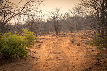 dry season in greater kruger area, red soil, south africa