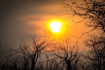 sunset in kruger national park, south africa