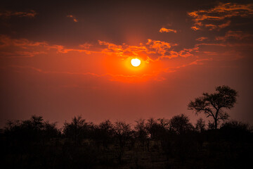 african sunset, greater kruger area, south africa