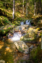 Naklejka na ściany i meble Hochfall Wasserfall im bayerischen Wald Deutschland