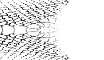Snakeskin pattern imitation. Lines and spots structural texture. Cool and artsy faux leather background. Abstract vector illustration. Black isolated on white. EPS10