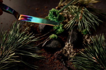 Close-up of ingredient added to modern molecular cuisine dish