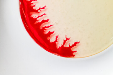 Close-up view of white plate in which red liquid spreads in beautiful incredible patterns.