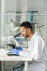 Side view of young contemporary researcher studying lab-grown soy sprout